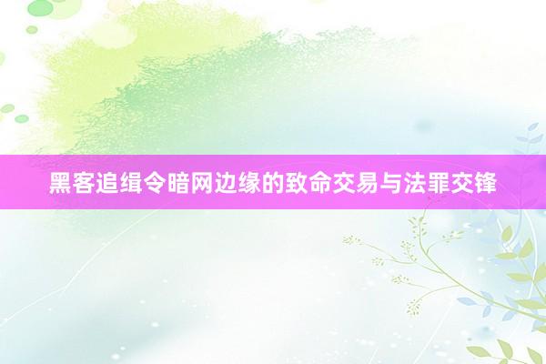 黑客追缉令暗网边缘的致命交易与法罪交锋