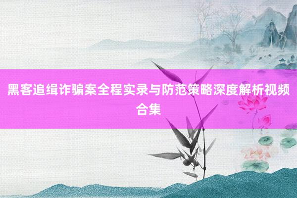 黑客追缉诈骗案全程实录与防范策略深度解析视频合集