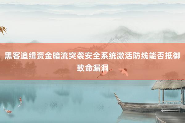 黑客追缉资金暗流突袭安全系统激活防线能否抵御致命漏洞