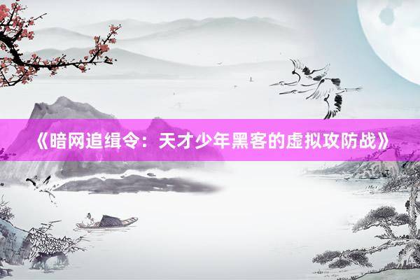《暗网追缉令：天才少年黑客的虚拟攻防战》